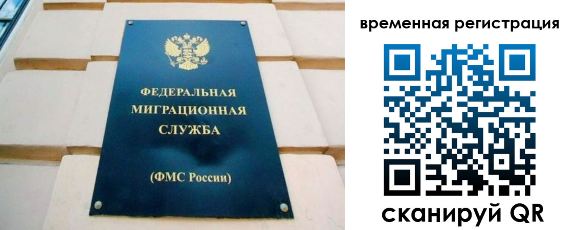прописка гарантия в Приозерске